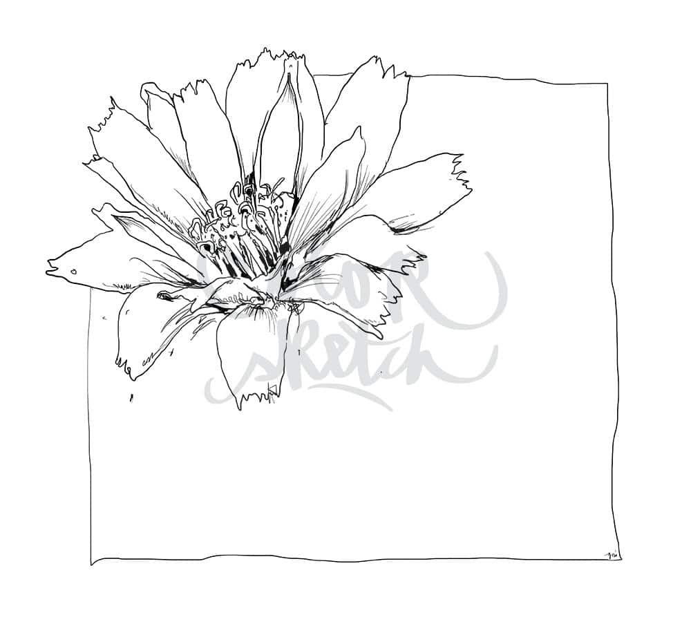 ColorSketch Motiv Blume 3