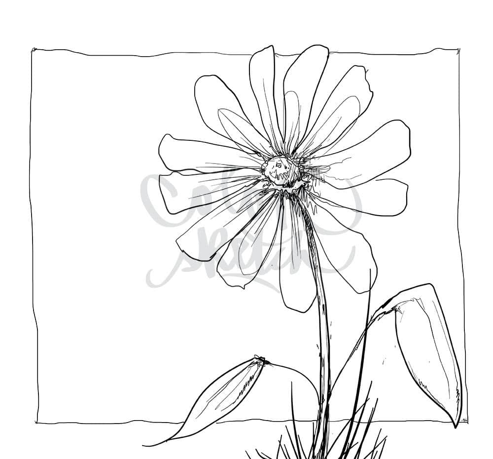 ColorSketch Motiv Blume 4